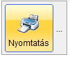 Bizonylat nyomtatás gomb