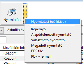 Bizonylat nyomtatás menü
